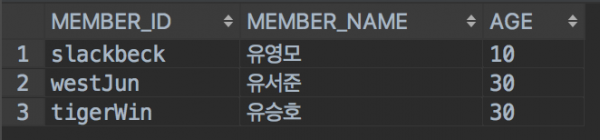 member-table-data