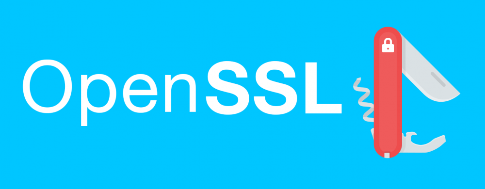 non-blocking socket에 OpenSSL 적용하기