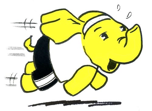 Hadoop NameNode  이중화 시 fencing의 역할