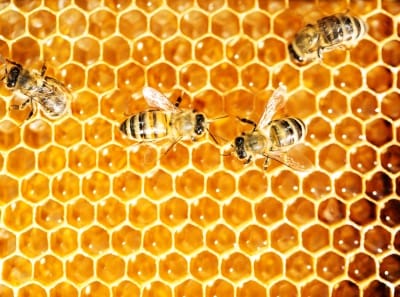 Hive CLI 작업을 Crontab에 설정하는 경우 삽질