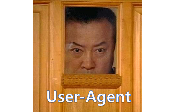 내 서버에는 누가 들어오는걸까? (실시간 user-agent 분석기)