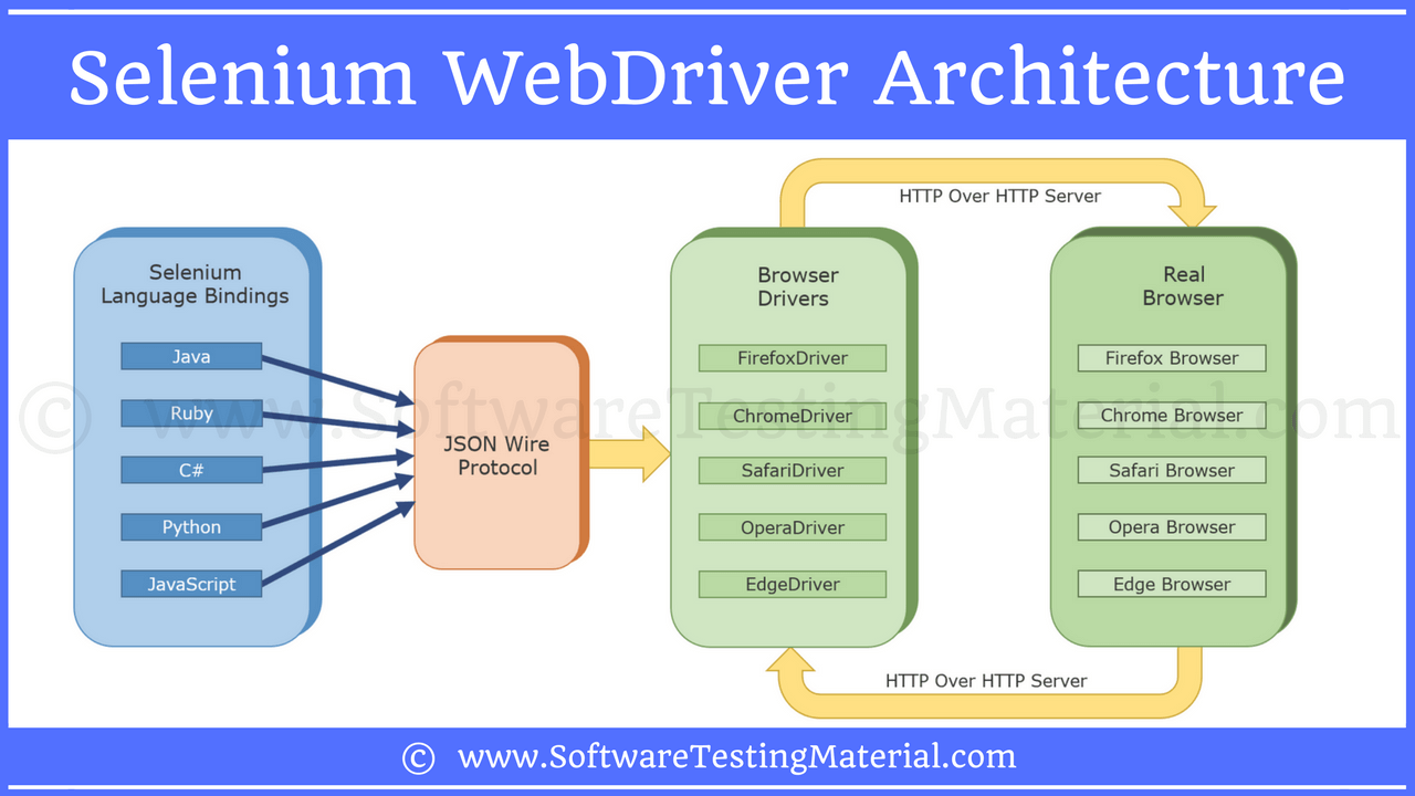 Selenium 으로 Web Scraping 아이 해봤니?