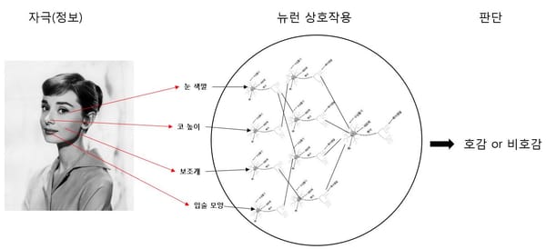 실체가 손에 잡히는 딥러닝(2) “인간의 뇌를 모방한 신경망, 그리고 딥러닝”