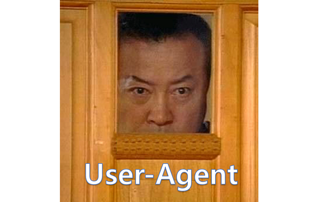 내 서버에는 누가 들어오는걸까? (실시간 user-agent 분석기)