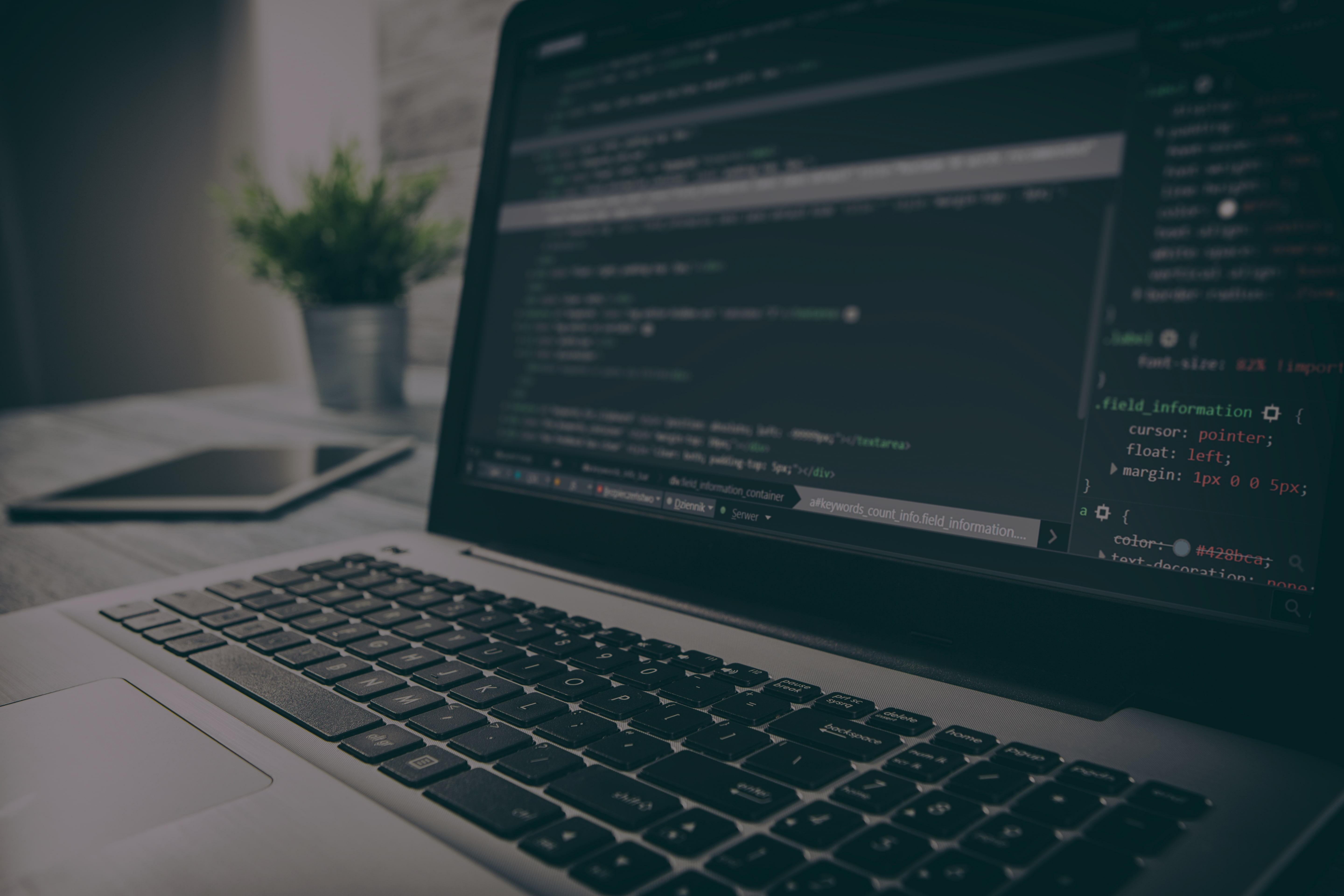 Coding site. Веб разработка. Эстетика программиста. Ноутбук для программирования. Web программирование.