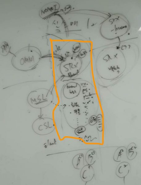 코드 운영으로 시장 검증을 거치고 표준화로 제품으로 향하는 코드 형상 변화를 설명한 내용