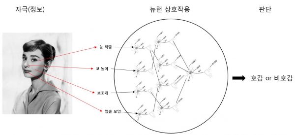 ▶그림 3. 뇌의 신경세포가 데이터를 처리하는 예시