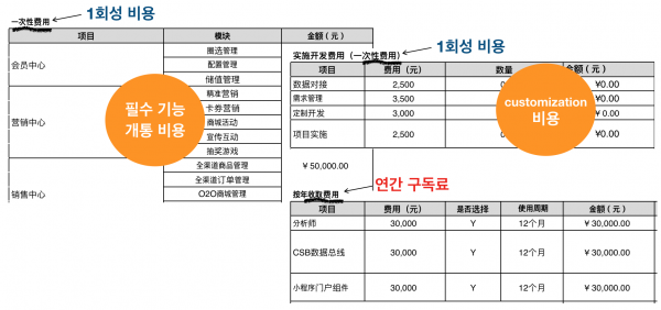 중국 소프트웨어 업체의 SaaS 견적표 일부